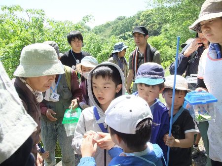 見せて見せて それ何の虫 と駆け寄る子どもたち