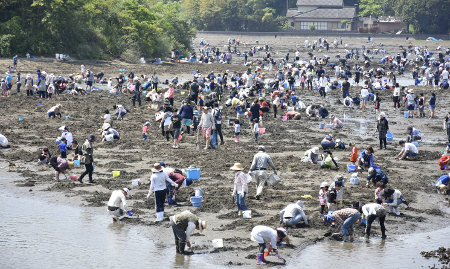 大勢の家族連れなどでにぎわった 貝掘りデー