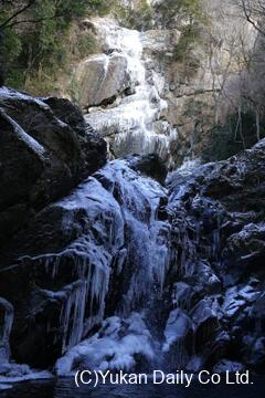  青白く氷結した高千穂町上野の竜ケ岩の滝