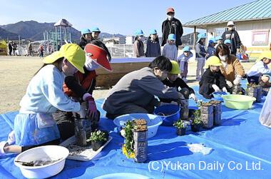 ペットボトルの鉢にビオラの苗を移植する園児ら